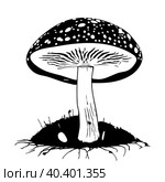 Black hand-drawn vector illustration of One fresh mushroom Fly agaric isolated on a white background. Стоковая иллюстрация, иллюстратор Татьяна Куклина / Фотобанк Лори