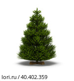 Christmas trees undecorated isolated on white background. Стоковая иллюстрация, иллюстратор Hemul / Фотобанк Лори