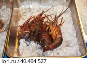 The local fish market in Tokyo, Japan (2013 год). Стоковое фото, фотограф Сергей Стрелков / Фотобанк Лори