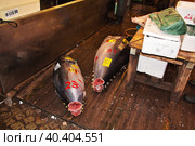 Tokyo, Japan - 05 Nov 2013: The local fish market, Tokyo, Japan. Редакционное фото, фотограф Сергей Стрелков / Фотобанк Лори