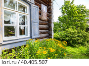 Homestead of Generalissimo A. Suvorov. Text in Russian: House-Museum of Alexander Vasilyevich Suvorov (2019 год). Редакционное фото, фотограф FotograFF / Фотобанк Лори