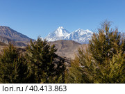 Mount Dhaulagiri and Tukuche Peak seen from Muktinath, Nepal (2016 год). Стоковое фото, фотограф Михаил Пряхин / Фотобанк Лори