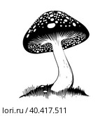 Black hand-drawn vector illustration of One fresh mushroom Fly agaric isolated on a white background. Стоковая иллюстрация, иллюстратор Татьяна Куклина / Фотобанк Лори