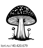 Black hand-drawn vector illustration of One fresh mushroom Fly agaric isolated on a white background. Стоковая иллюстрация, иллюстратор Татьяна Куклина / Фотобанк Лори