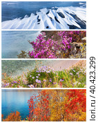 Natural background of four seasons. Collage of seasonal photos: winter ice and snow, spring bloom of wild pink rhododendron, summer flowers, autumn yellow foliage against blue water of Baikal Lake. Стоковое фото, фотограф Виктория Катьянова / Фотобанк Лори