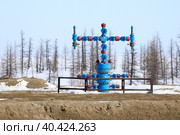 Фонтанная арматура на устье разведочной газовой скважины, Ямало-Ненецкий автономный округ. Стоковое фото, фотограф Григорий Писоцкий / Фотобанк Лори