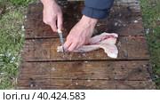 Fresh northern pike fish gutting and cutting for cooking. Стоковое видео, видеограф Владимир Григорьев / Фотобанк Лори