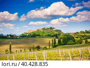 Vinneyard in Tuscany at spring. Стоковое фото, фотограф Sergey Borisov / Фотобанк Лори