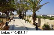 Ботанический сад Арготти в Флориане. Валлетта. Мальта. (Argotti Botanic Gardens in Floriana. Valletta. Malta.) (2018 год). Стоковое фото, фотограф Igor Bakirov / Фотобанк Лори