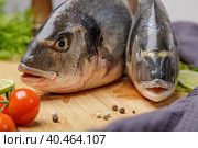 Fresh dorado fish, on a wooden board, two heads close-up. Стоковое фото, фотограф Юрий Поздников / Фотобанк Лори