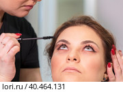 Master stylist makes makeup for eyelashes to a girl in a beauty salon. Russia Moscow August 20, 2020. Редакционное фото, фотограф Юрий Поздников / Фотобанк Лори