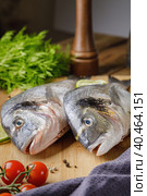 Fresh dorado fish, on a wooden board, two heads close-up. Стоковое фото, фотограф Юрий Поздников / Фотобанк Лори