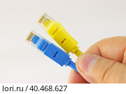 Рука держит патч корд с Ethernet разъёмом RJ45 для подключения к сети интернет. Стоковое фото, фотограф Нелик Дулатов / Фотобанк Лори