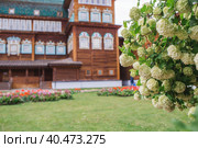 Decorative viburnum Buldenezh or Snow globe (Latin Viburnum opulus var sterile) on the background of the palace of Tsar Alexei Mikhailovich in Kolomenskoye. Russia, Moscow, May 2023. Редакционное фото, фотограф Photojuli / Фотобанк Лори