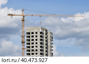 Moscow, Russia - 4 May.2023. Liebherr cranes build residential buildings in Zelenograd. Редакционное фото, фотограф Володина Ольга / Фотобанк Лори