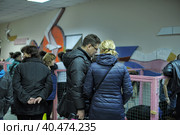 St. Petersburg, Russia 26.10.2013    The Way Home - show the distribution of animal shelter Rzhevka, Стоковое фото, фотограф Анна Кривицкая / Фотобанк Лори