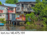 A serene warren of canals, floating houses and stilt houses over the Chao Phraya River, at Krung Thon Bridge (Saphan Sang Hi) (2019 год). Стоковое фото, фотограф Анна Кривицкая / Фотобанк Лори