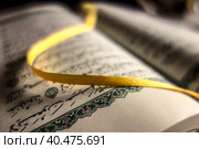 Open Holy Koran Book (2017 год). Стоковое фото, фотограф Iva Noel / Фотобанк Лори
