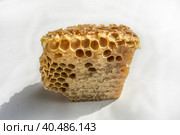 Piece of honeycomb with natural honey and natural shadows isolated on a white. Стоковое фото, фотограф Iva Noel / Фотобанк Лори
