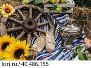Rustic still life with bast shoes and samovar. Стоковое фото, фотограф Iva Noel / Фотобанк Лори