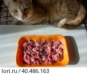 Natural raw chicken heads as food for cats. Стоковое фото, фотограф Iva Noel / Фотобанк Лори