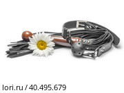 Bdsm black leather lash with gag and yellow daisy flower on a white background. Стоковое фото, фотограф Артем Курутин / Фотобанк Лори