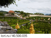 Nong Nooch Tropical Botanical Garden. Kingdom of Thailand. (2018 год). Стоковое фото, фотограф Виктория Тельминова / Фотобанк Лори