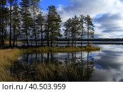 Безмятежность. Стоковое фото, фотограф Анна Грин / Фотобанк Лори