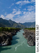 Река Катунь. Стоковое фото, фотограф Александр Буряк / Фотобанк Лори