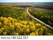 A beautiful road through the autumn forest from the air on a sunny autumn day. Красивая дорога через осенний лес с воздуха в солнечный осенний день. Стоковое фото, фотограф Виктория Тельминова / Фотобанк Лори