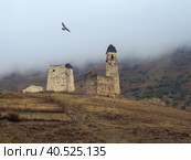 Battle towers Erzi in the Jeyrah gorge. Medieval tower complex Erzi, one of the largest medieval castle-type tower villages, located on the extremity of the mountain range in Ingushetia, Russia. (2022 год). Стоковое фото, фотограф Саблин Станислав / Фотобанк Лори