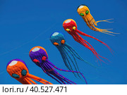 Huge octopus kites fly in the sky. The annual festival "Motley Sky" in the Tsaritsyno Park in Moscow, Russia (2023 год). Редакционное фото, фотограф Photojuli / Фотобанк Лори