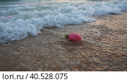Buoys on a rope near sea water. The buoys are pink restraints to alert people to the depth of the water. Rescue of the drowning. Delimiting a place on a sandy beach between hotels. Wave with bubbles. Стоковое фото, фотограф Юлия Петровская / Фотобанк Лори