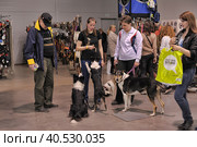 A visitor with dogs at the White Nights exhibition (2014 год). Редакционное фото, фотограф Анна Кривицкая / Фотобанк Лори