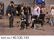 A visitor with dogs at the White Nights exhibition (2014 год). Редакционное фото, фотограф Анна Кривицкая / Фотобанк Лори