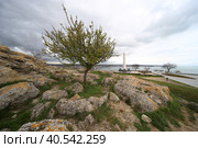 Вид на море с горы Митридат. Керчь (2023 год). Стоковое фото, фотограф Анна Зеленская / Фотобанк Лори