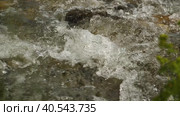 Крупный план потока чистой талой воды, пенящейся при ударе о камни. Замедленная съемка горного ручья. Живая природа. Фоновое видео. Вид сбоку с вершины. Стоковое видео, видеограф Воловодов Владимир / Фотобанк Лори