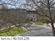 Latvia, Sigulda, 29,04,2016Sigulda Medieval Castle. Latvia. Редакционное фото, фотограф Анна Кривицкая / Фотобанк Лори