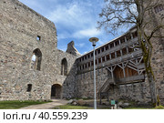 Ruins of medieval castle in Sigulda, Latvia. Built in 1207 as a castellum type fortress by the Livonian Brothers of the Sword who were later incorporated into the Teutonic Order of the castle (2016 год). Редакционное фото, фотограф Анна Кривицкая / Фотобанк Лори