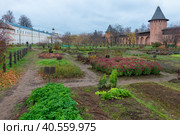 Аптекарский огород в Спасо-Евфимиевом монастыре. Суздаль. Владимирская область, Россия (2022 год). Стоковое фото, фотограф Pukhov K / Фотобанк Лори