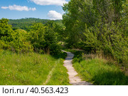 Молодецкий курган, Национальный Парк Самарская Лука! (2023 год). Редакционное фото, фотограф Viktor Volkodaev / Фотобанк Лори
