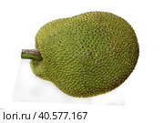 Giant jackfruit isolated on white background. Стоковое фото, фотограф Iva Noel / Фотобанк Лори