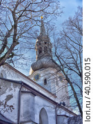 St Mary's Cathedral (Dome Church) on Toompea Hill in old Tallinn, Estonia (2015 год). Редакционное фото, фотограф Анна Кривицкая / Фотобанк Лори