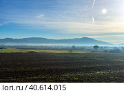 Scenic Tuscan landscape with beautiful fields, meadows and hills with morning fogs (2018 год). Стоковое фото, фотограф Анна Кривицкая / Фотобанк Лори