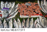 Various fish on the counter fish shop in Istanbul (2018 год). Редакционное фото, фотограф Анна Кривицкая / Фотобанк Лори