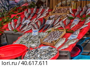 Various fish on the counter fish shop in Istanbul (2018 год). Редакционное фото, фотограф Анна Кривицкая / Фотобанк Лори