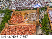 Various fish on the counter fish shop in Istanbul (2018 год). Редакционное фото, фотограф Анна Кривицкая / Фотобанк Лори