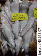 Solea solea in the fish market of Istanbul (2018 год). Редакционное фото, фотограф Анна Кривицкая / Фотобанк Лори