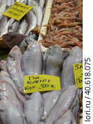 Solea solea in the fish market of Istanbul (2018 год). Редакционное фото, фотограф Анна Кривицкая / Фотобанк Лори