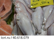 Solea solea in the fish market of Istanbul (2018 год). Редакционное фото, фотограф Анна Кривицкая / Фотобанк Лори